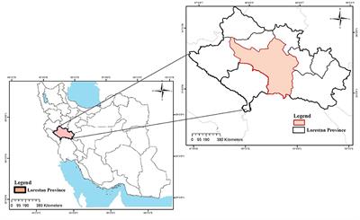 The Impact of COVID-19 Pandemic on Food Security and Food Diversity of Iranian Rural Households